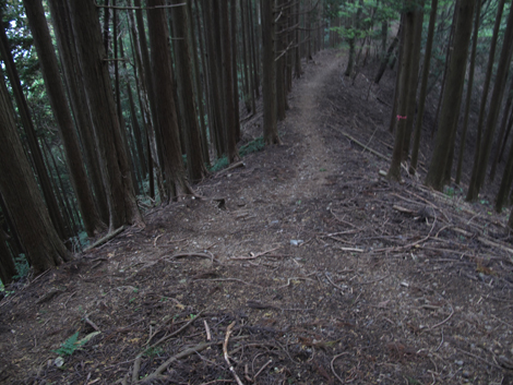 20151021hike (122)